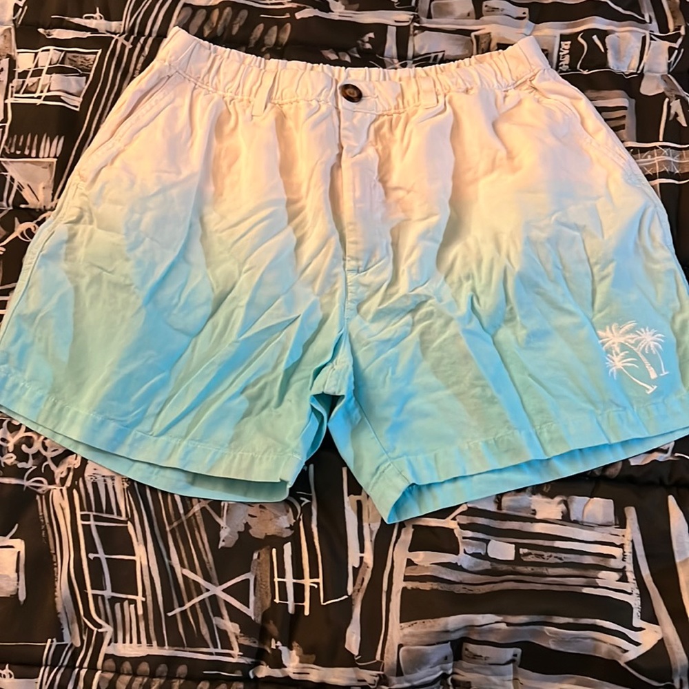 Chubbies 5.5” Inseam Shorts, Size XL